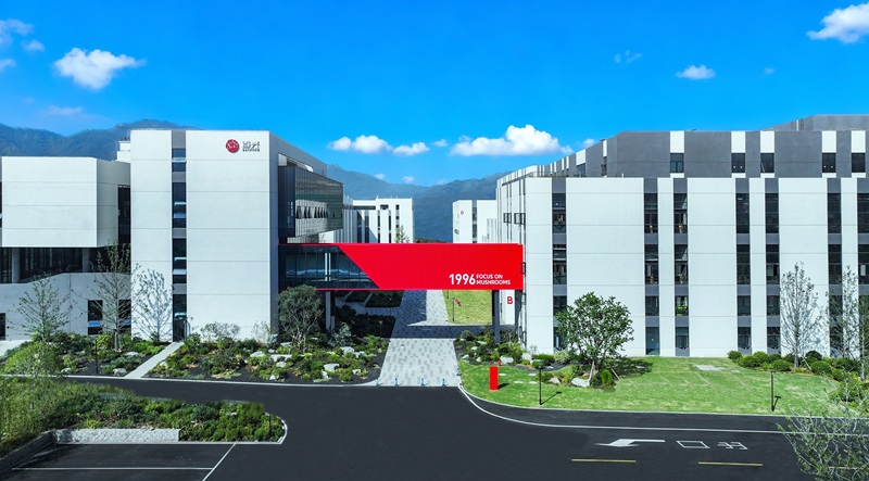 baixing food mushroom factory (1).jpg